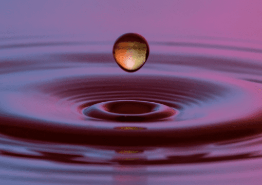 BEYOND THE JOURNEY GOLD Online & Live Traject