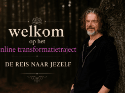online transformatietraject