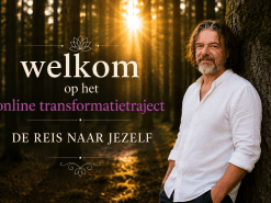 online transformatietraject