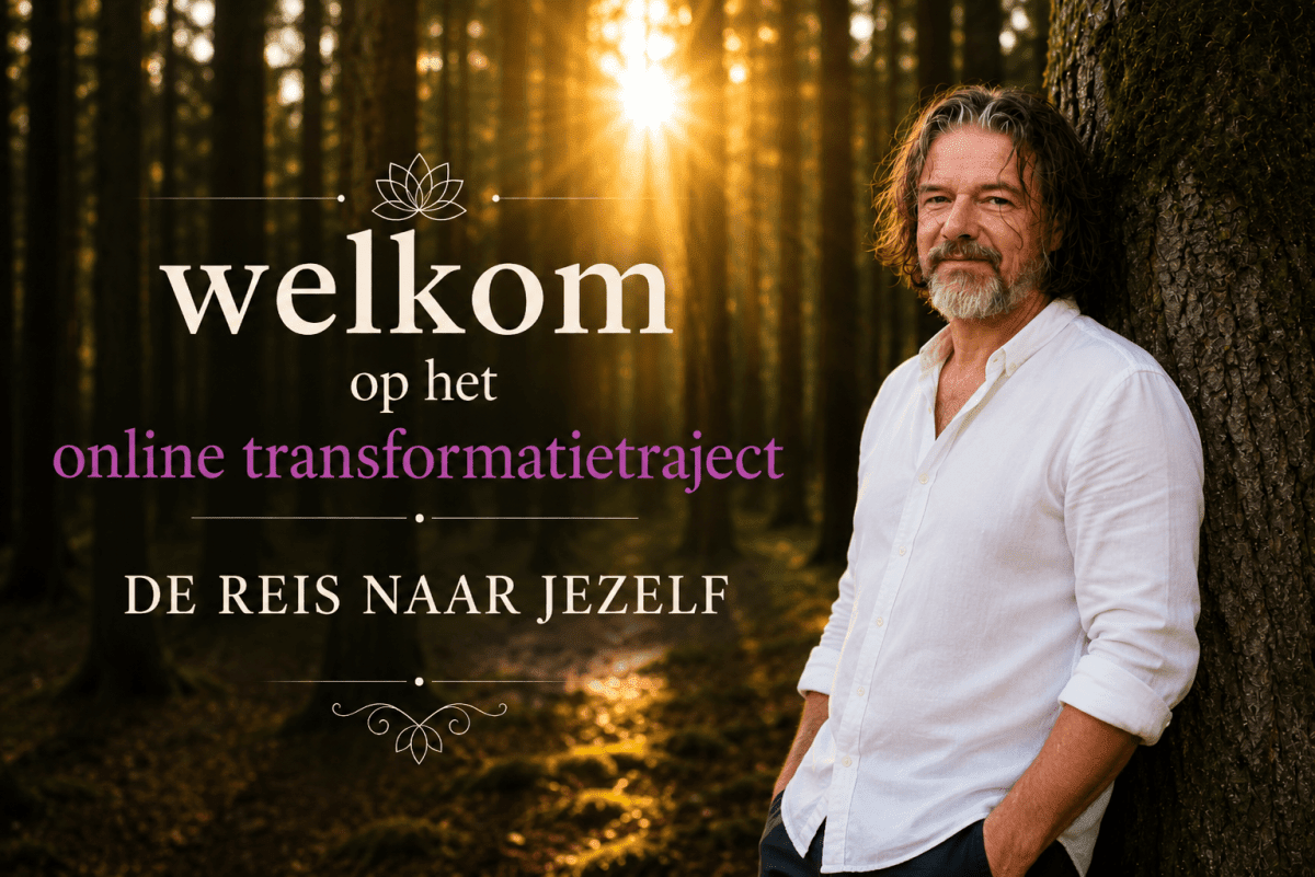 online transformatietraject
