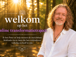 online transformatietraject