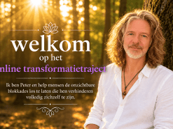 online transformatietraject